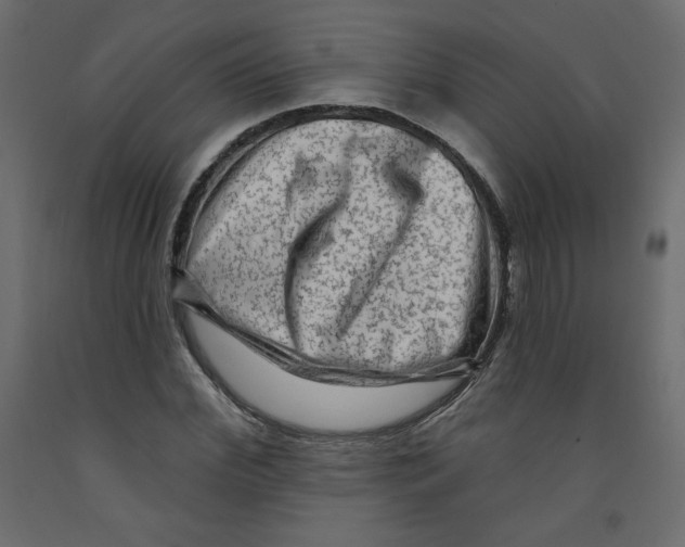 X0000091950972200710041005