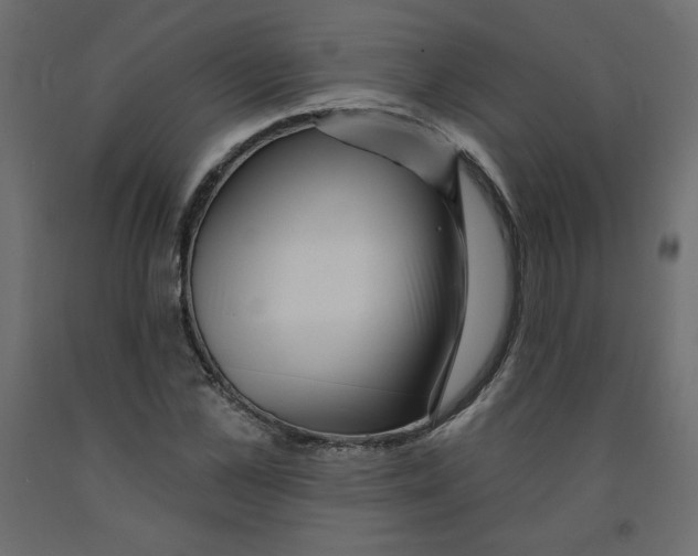 X0000091950973200710041004
