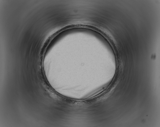 X0000091950974200710041004