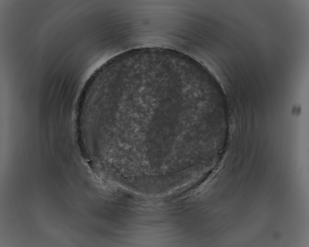 X0000091950975200710041004