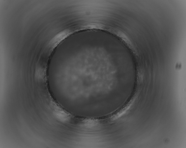 X0000091950977200710041004