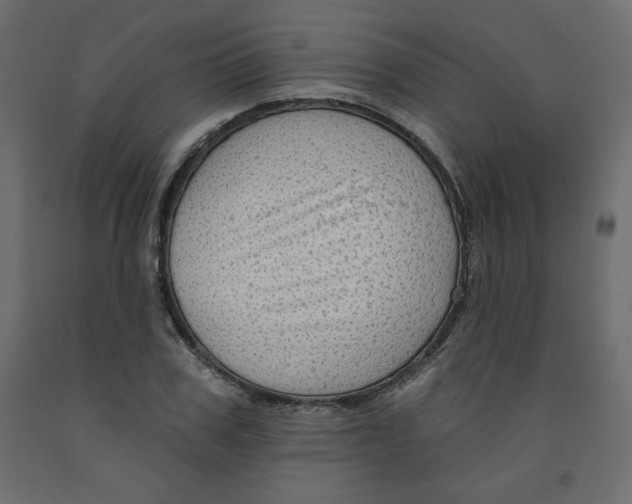 X0000091950979200710041004