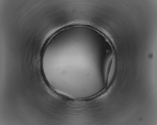 X0000091950981200710041004
