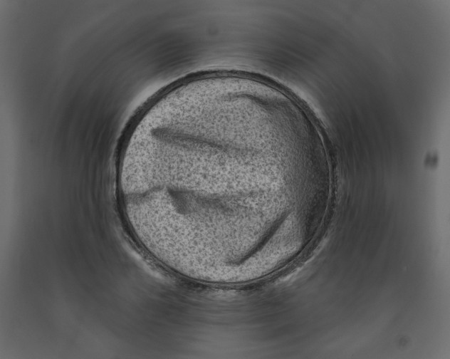 X0000091950982200710041004