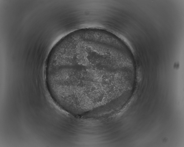 X0000091950983200710041004