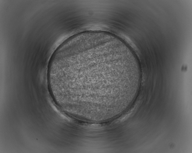 X0000091950986200710041004