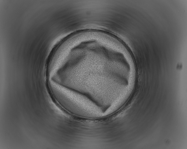 X0000091950987200710041004
