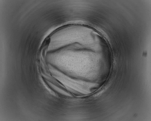 X0000091950989200710041004