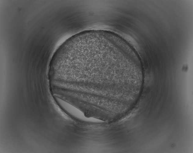 X0000091950990200710041004
