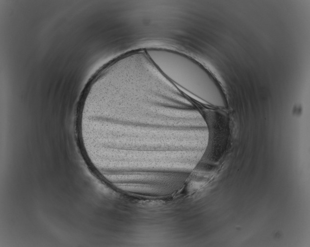 X0000091950991200710041004