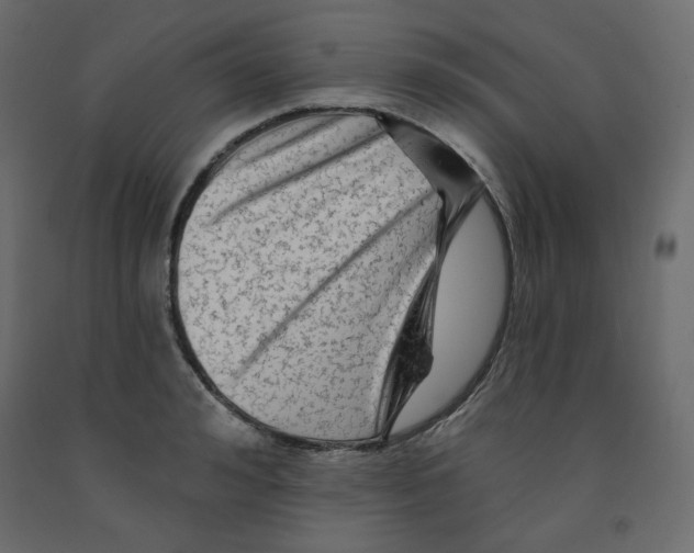 X0000091950992200710041004