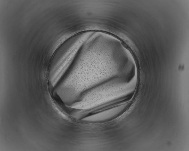 X0000091950993200710041004