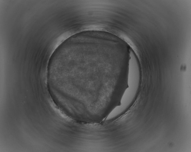 X0000091950994200710041004