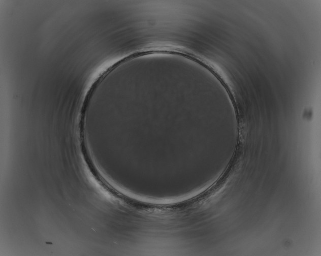 X0000091950995200710041004