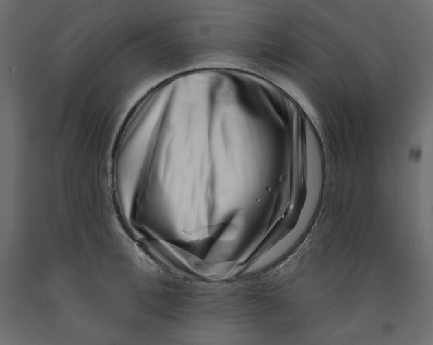 X0000091950996200710041004
