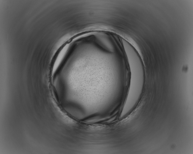 X0000091950997200710041004