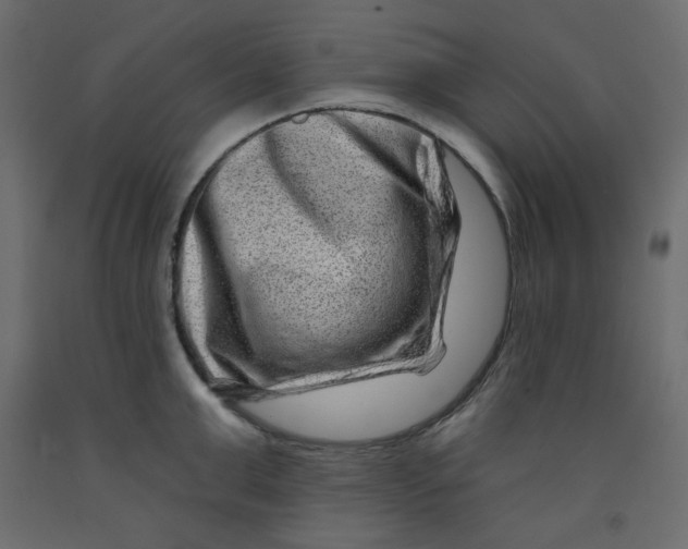 X0000091950999200710041004