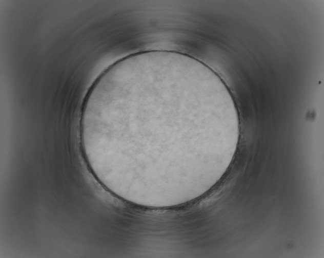 X0000091951000200710041004