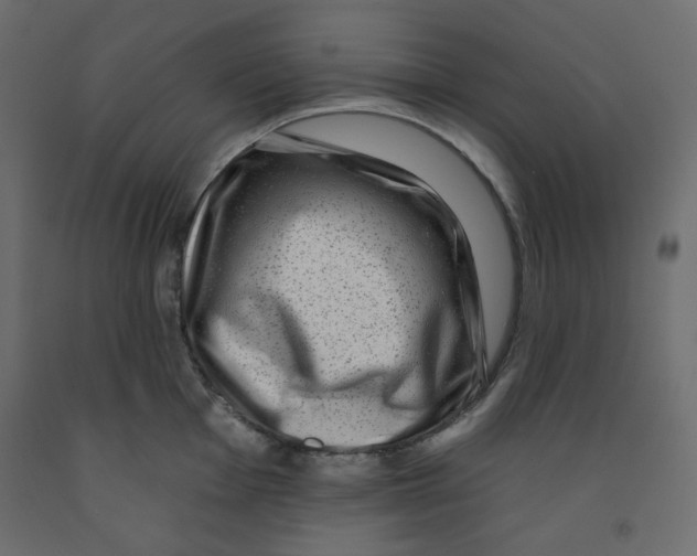 X0000091951001200710041004