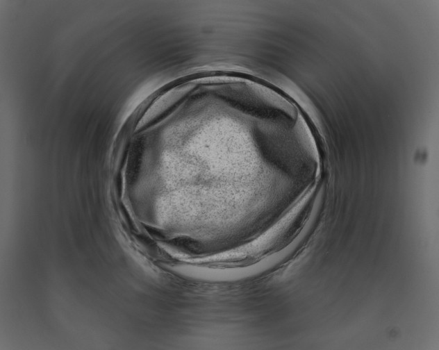 X0000091951002200710041004