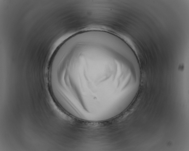 X0000091951003200710041004