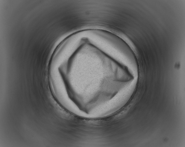 X0000091951004200710041004