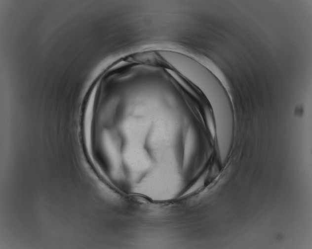 X0000091951005200710041004