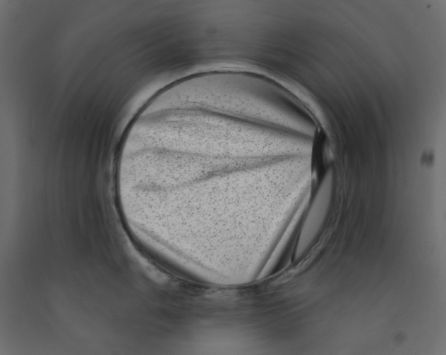X0000091951006200710041004