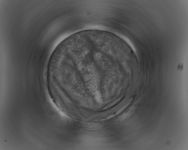 X0000091951007200710041004