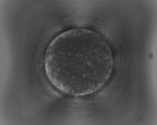 X0000091951009200710041003