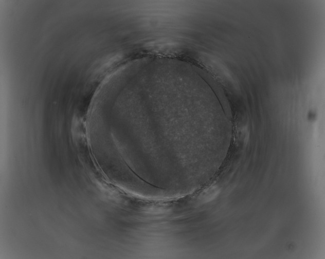 X0000091951010200710041003