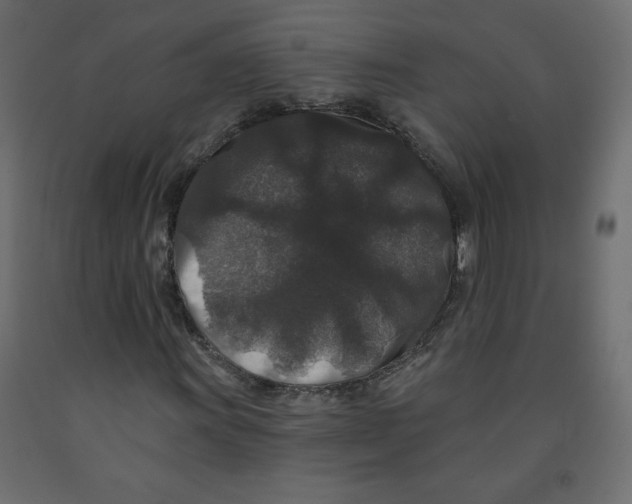 X0000091951011200710041003