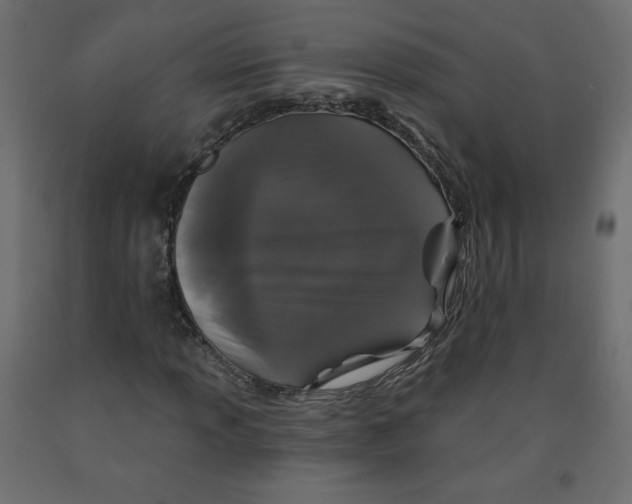 X0000091951013200710041004