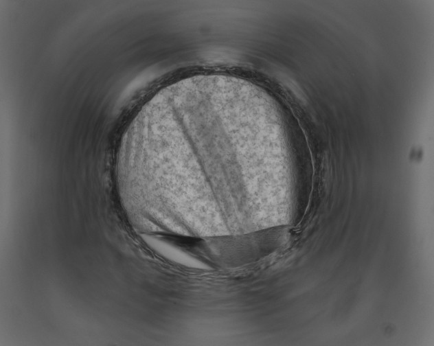 X0000091951016200710041004