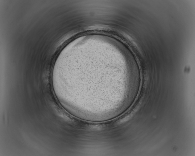 X0000091951017200710041004