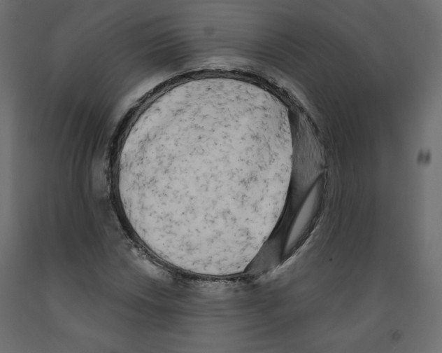 X0000091951018200710041004