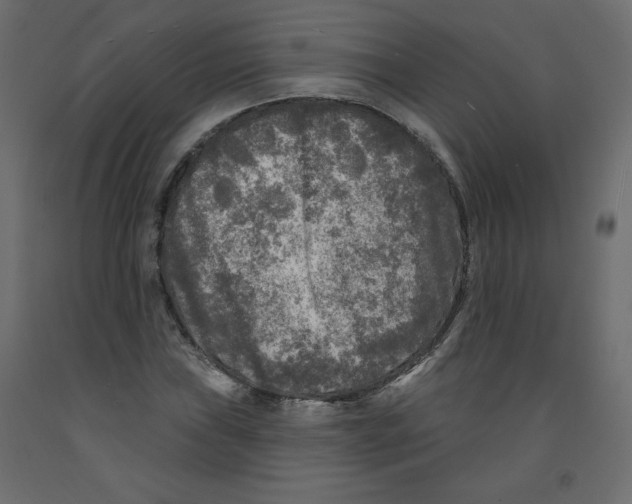 X0000091951019200710041004