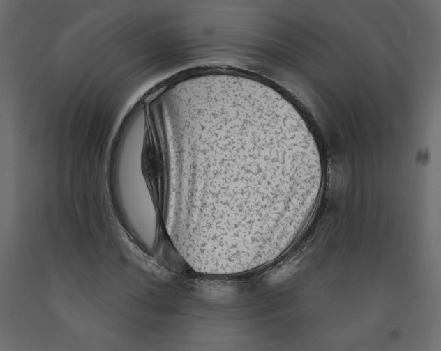 X0000091951020200710041004