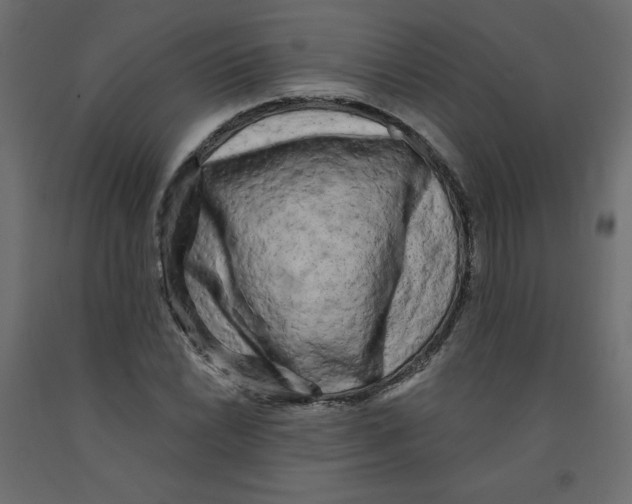X0000091951022200710041004