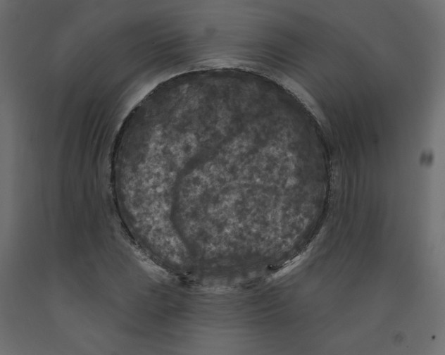 X0000091951023200710041004