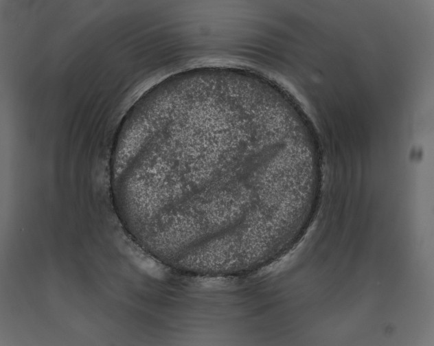 X0000091951025200710041004