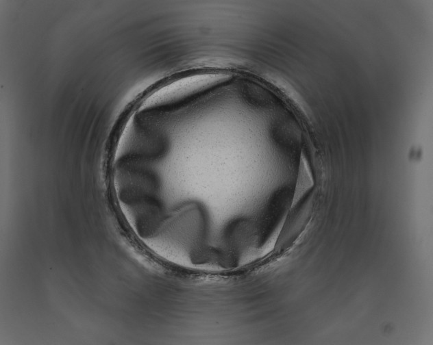 X0000091951026200710041004