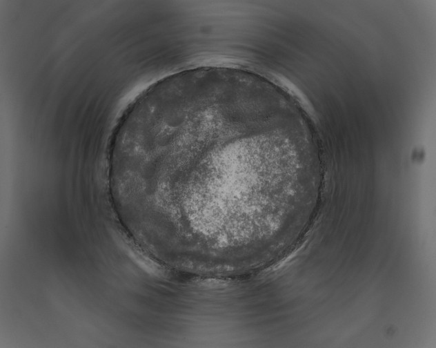 X0000091951027200710041004