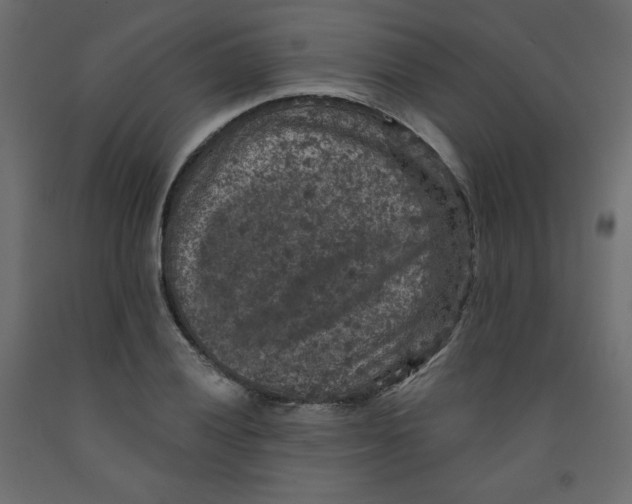 X0000091951028200710041004