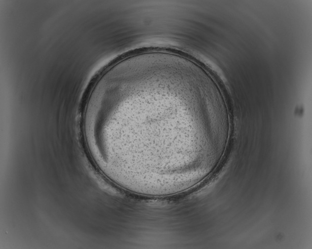 X0000091951029200710041004