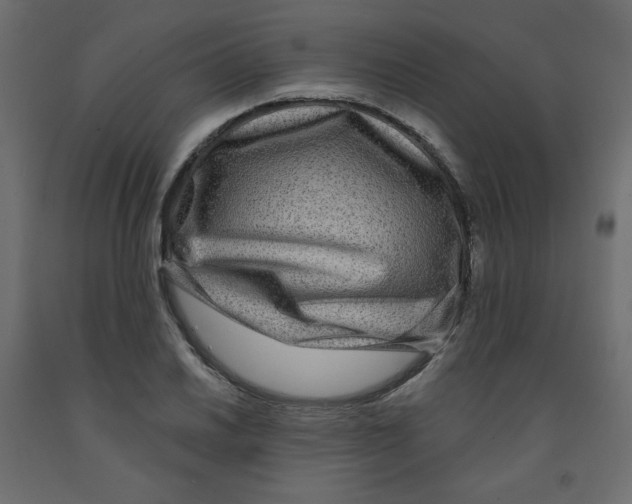 X0000091951030200710041004