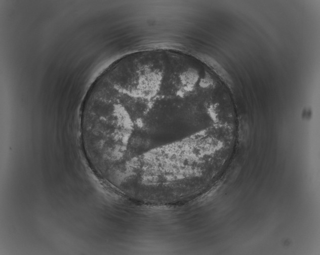 X0000091951031200710041004