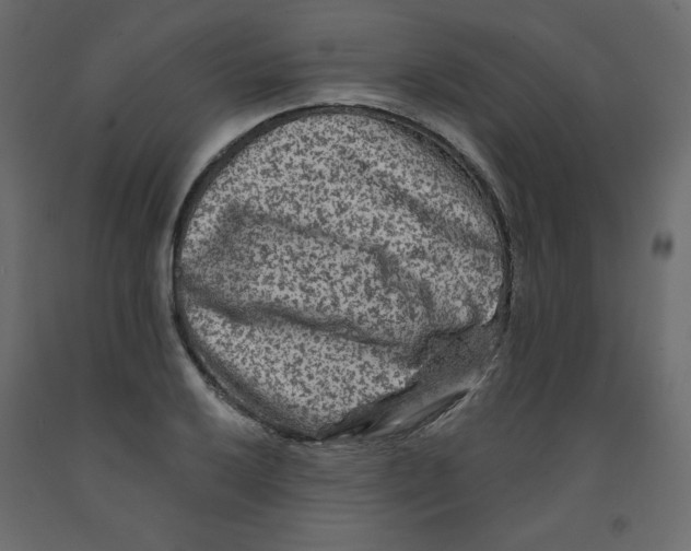 X0000091951032200710041004