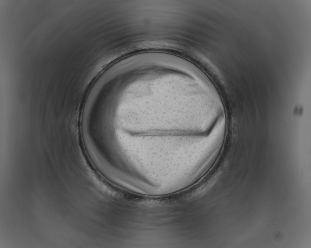 X0000091951033200710041004