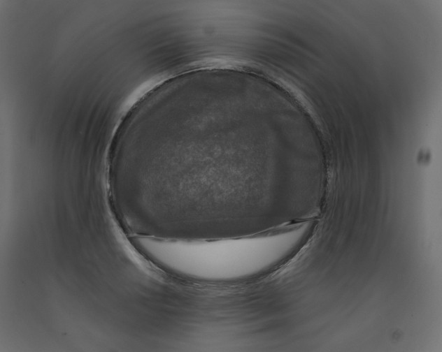 X0000091951034200710041004